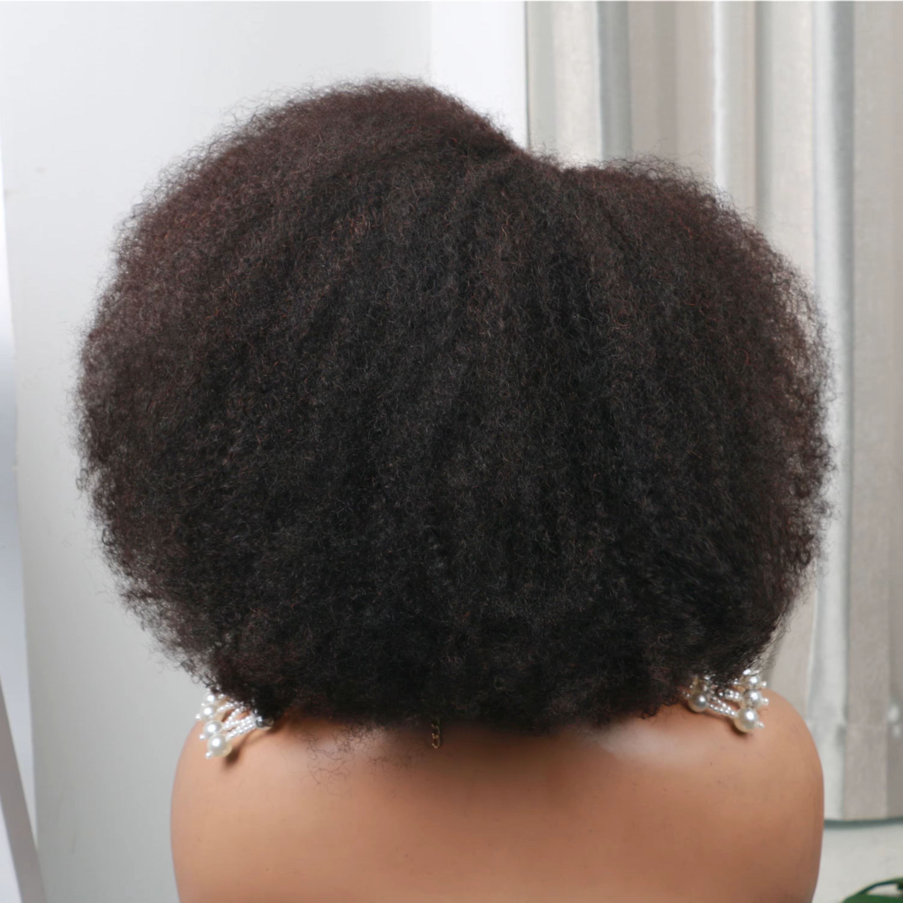 Afro Kinky Curly Lace Wig for Women