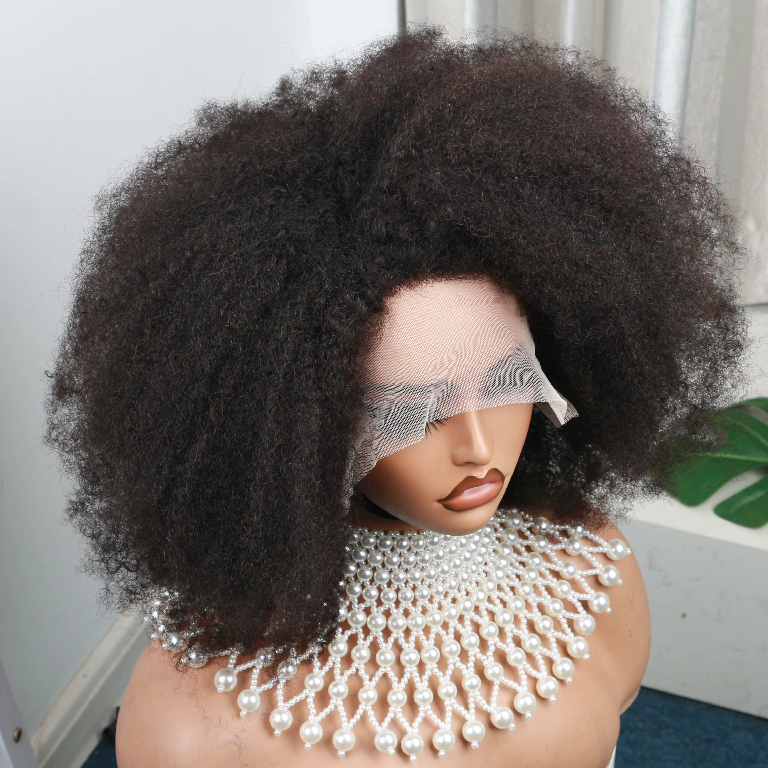Afro Kinky Curly Lace Wig for Women