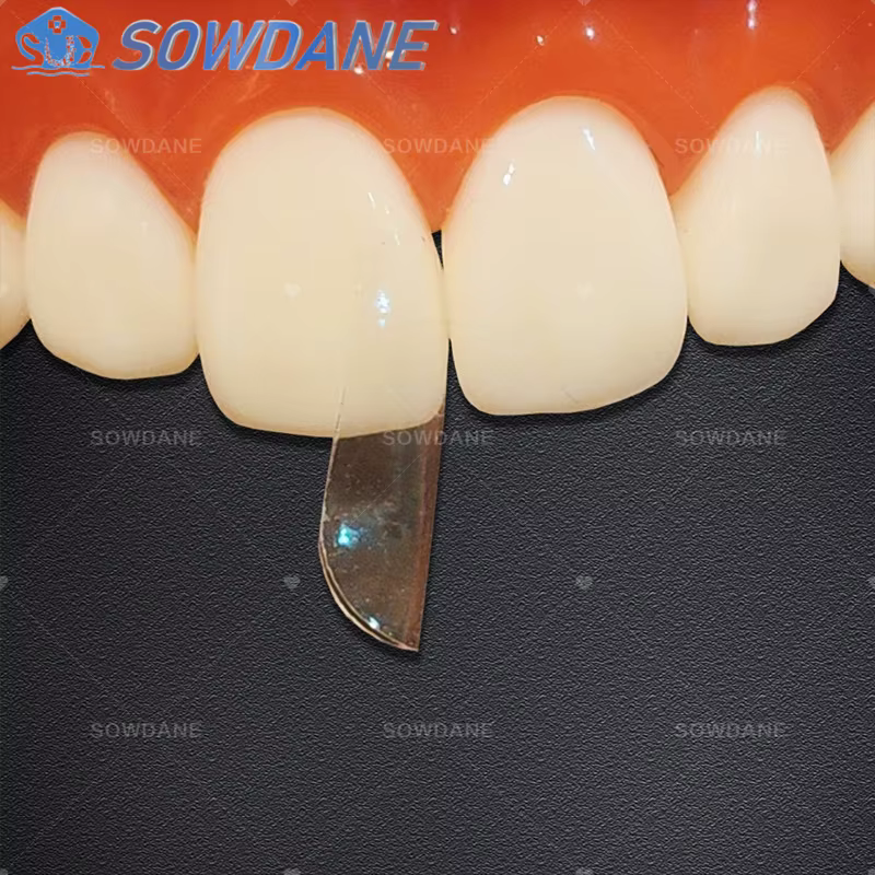 Bandes Matrices Dentaires Supérieures, Bande Matrice en Polyester, Nministériels d Transparent, Système Matrice Profilée Sectionnelle