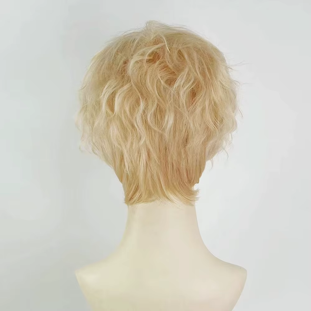Perruque synthétique Blonde courte ondulée bouclée pour hommes