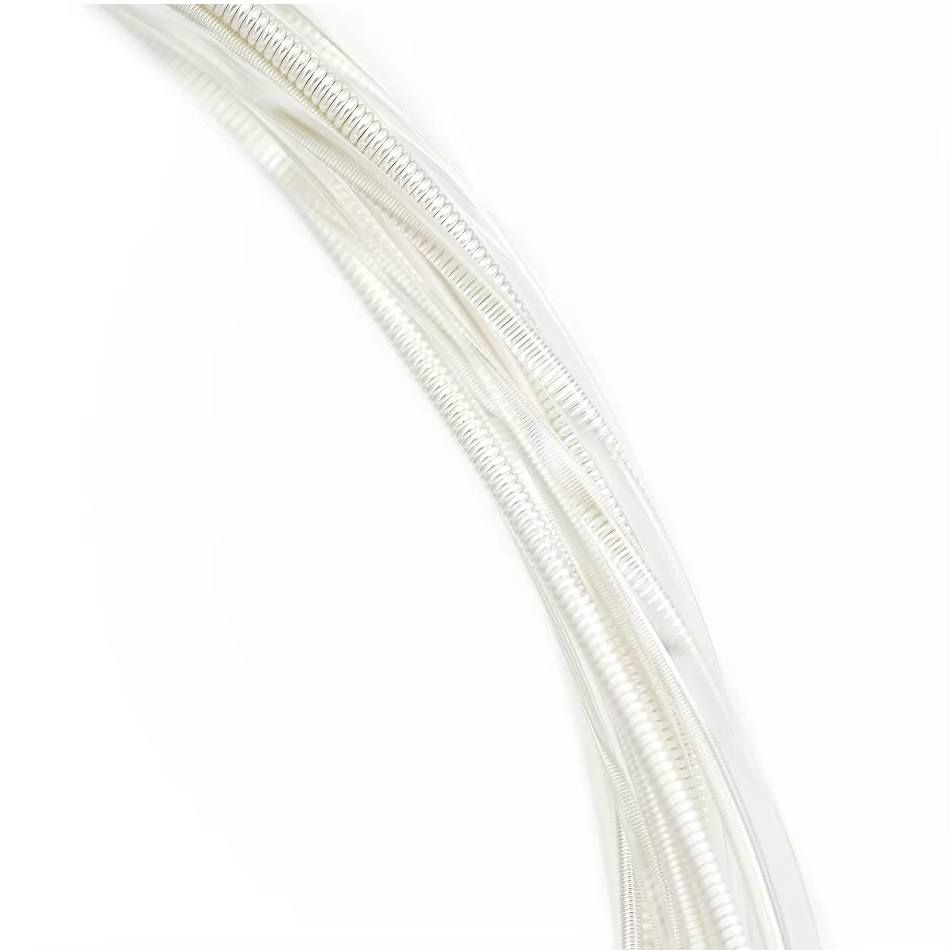 Alice AC130 guitare classique professionnelle cordes de guitare plaqué argent cuivre enroulé clair Nylon Normal haute Tension 6 cordes