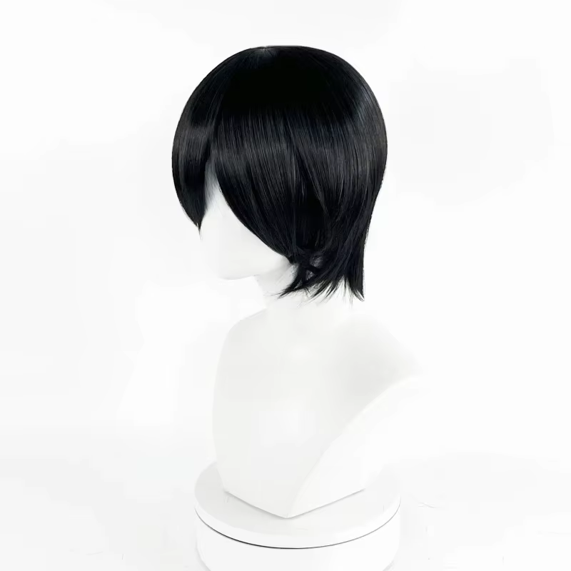 Perruque de Cosplay synthétique noire unisexe pour adultes