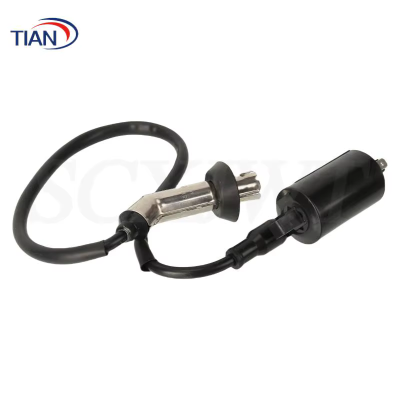 Bobine d'allumage EFI GY6 conçue pour les systèmes à pédale EFI 169cc 170cc, compatible avec les motos Jonway GTX 250 EFI et 200 Tall