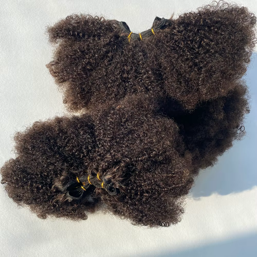 Paquets de cheveux humains bruts vierges moelleux Afro crépus bouclés Extensions de tissage de cheveux humains Afro bouclés 4b 4c paquets brésilien Double trame