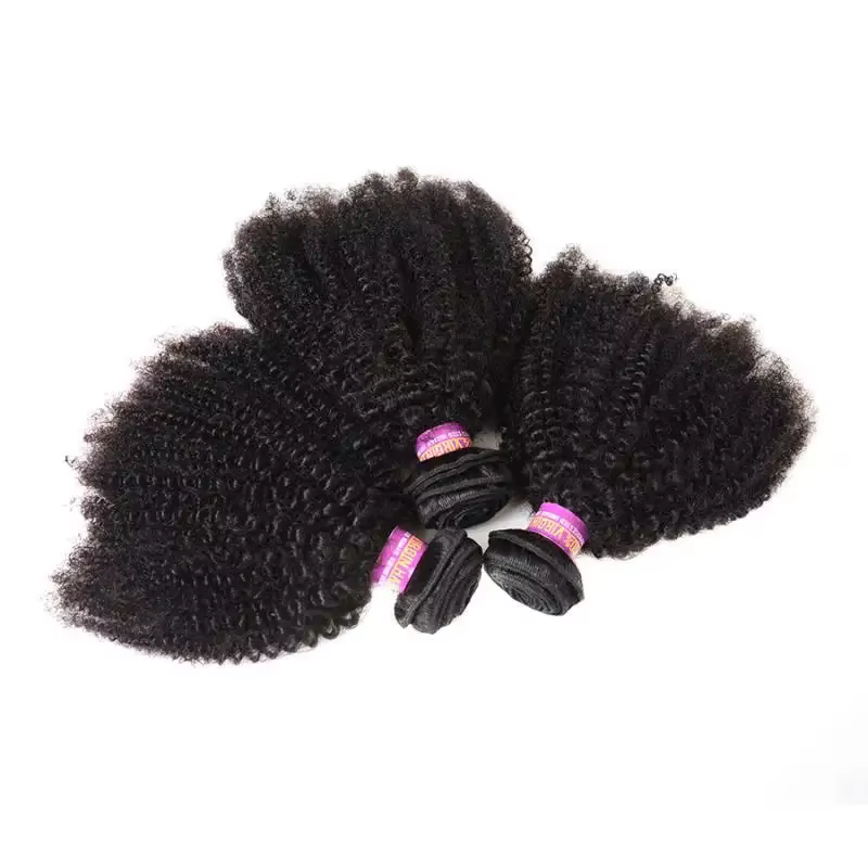 Extensions de cheveux humains Afro crépus bouclés