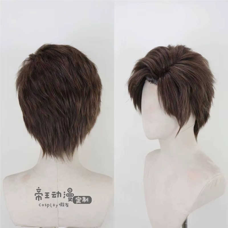 Perruque de cosplay Re9 REQ Leon pour homme