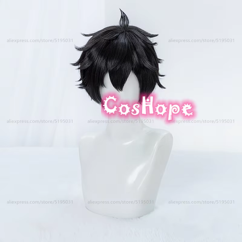 Dan Heng Cosplay perruque 30 cm perruque courte perruque noire Cosplay Anime Cosplay perruques résistant à la chaleur perruques synthétiques