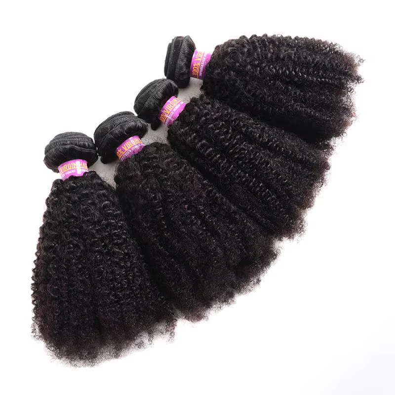 Extensions de cheveux humains Afro crépus bouclés
