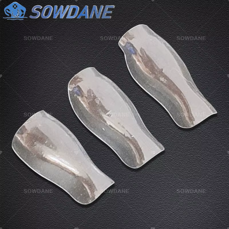 Bandes Matrices Dentaires Supérieures, Bande Matrice en Polyester, Nministériels d Transparent, Système Matrice Profilée Sectionnelle