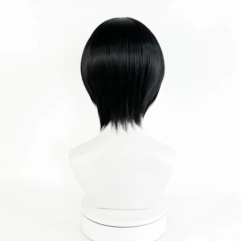 Perruque de Cosplay synthétique noire unisexe pour adultes
