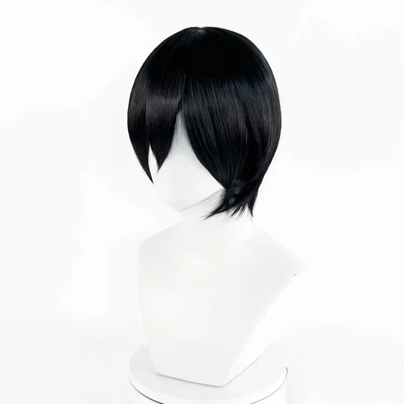 Perruque de Cosplay synthétique noire unisexe pour adultes