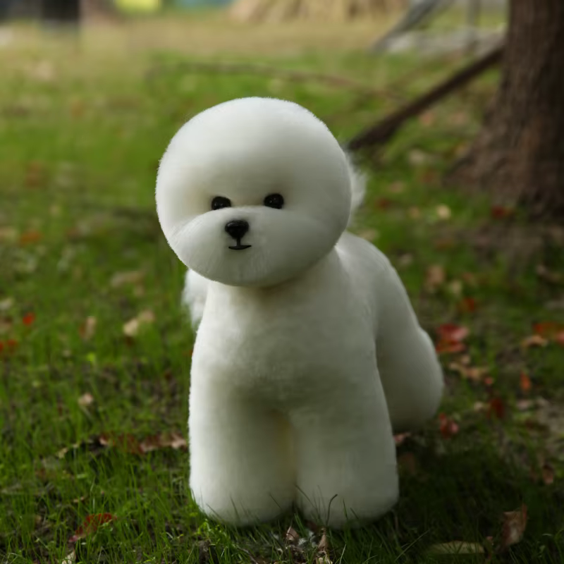 Perruque de cheveux complets Bichon pour la pratique du toilettage