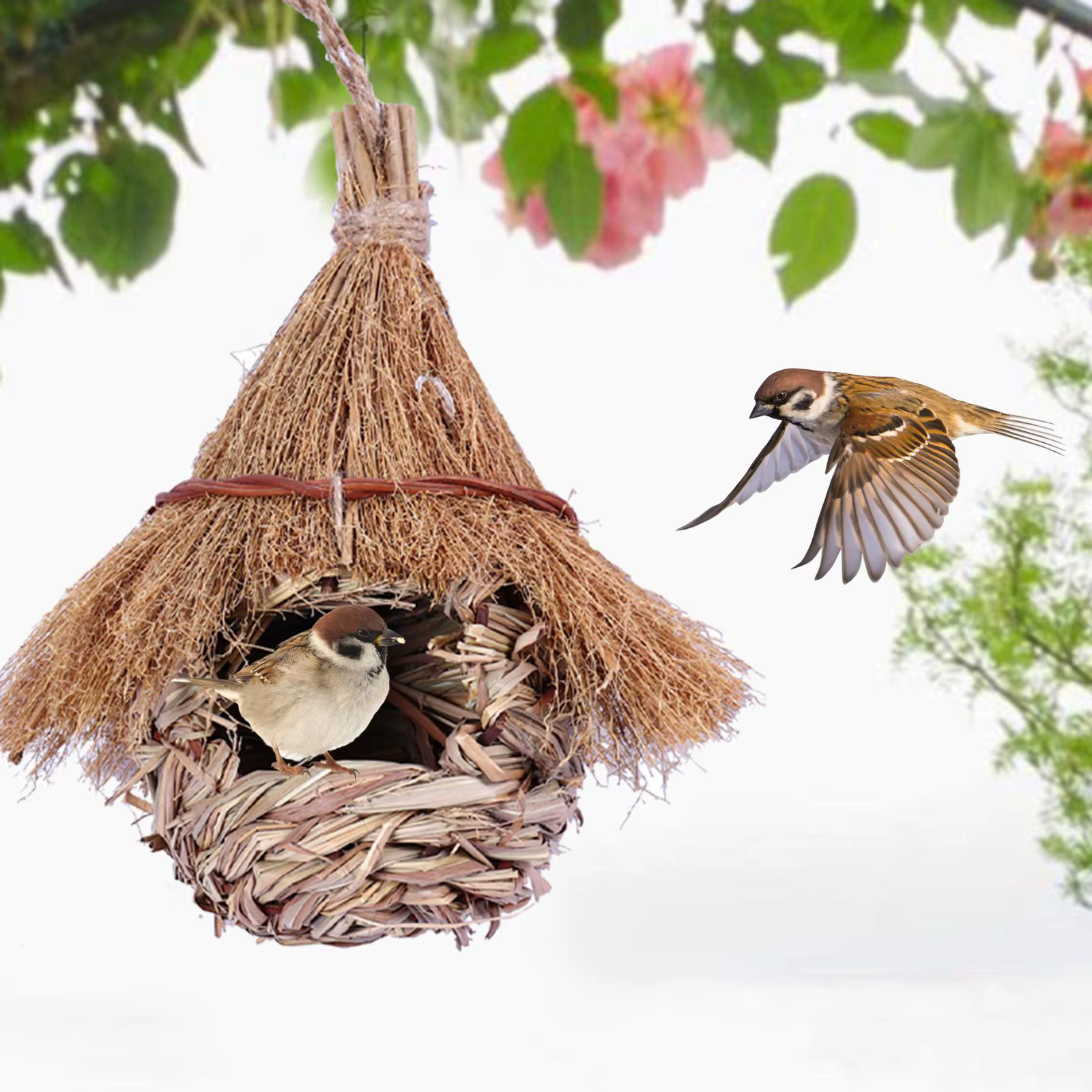 Wren Finch-Maison à oiseaux tissée à la main, cabane à oiseaux pour pelouse intérieure et extérieure