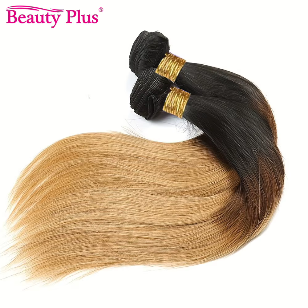 Mèches Brésiliennes 100% Naturelles Lisses Ombré