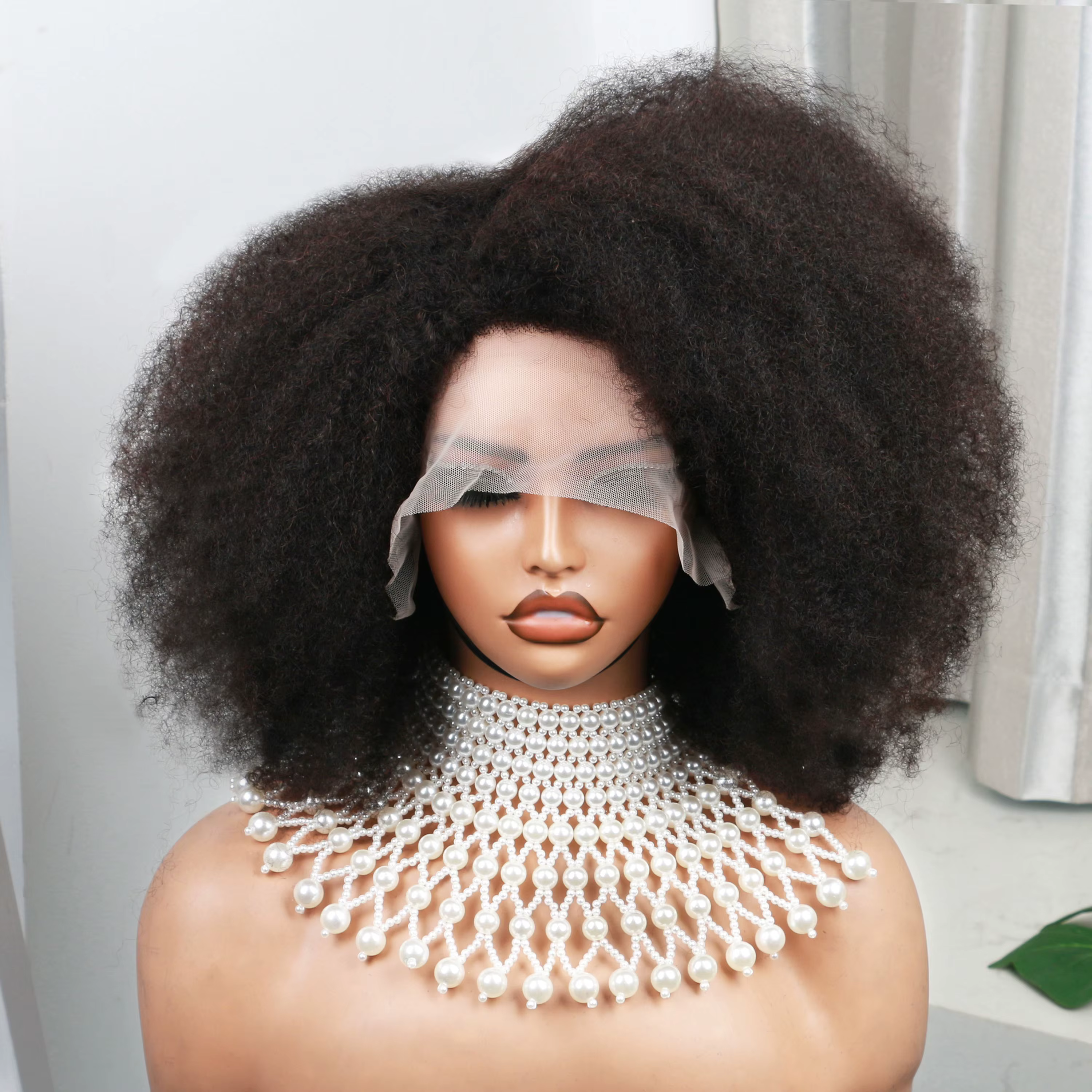 Afro Kinky Curly Lace Wig for Women