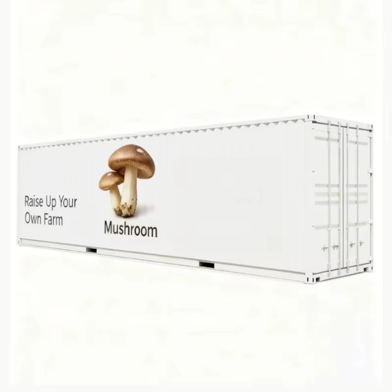 Conteneur de culture de champignons pour l'élevage de mycètes, avec dimensions et caractéristiques personnalisées pour la production commerciale