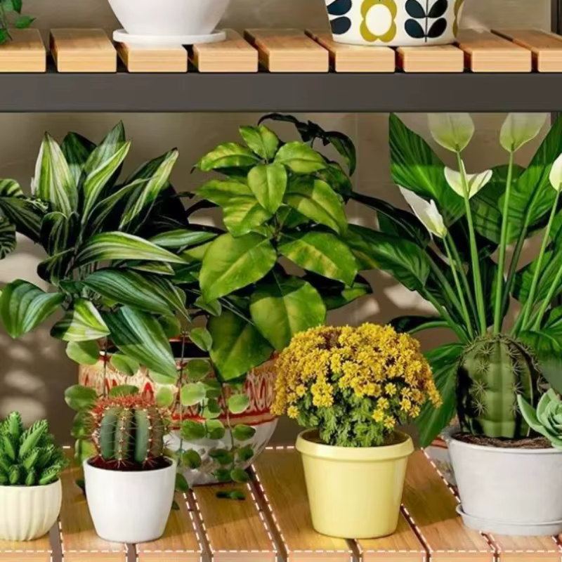 Étagère à plantes d'intérieur pour terrasse, rangement extérieur, support de pot de fleurs pour porche, étagère à plantes de style Mid-Century, étagère en forme d'échelle, mobilier de patio