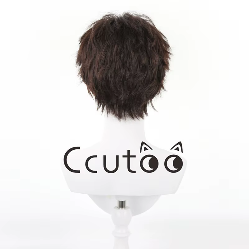 Perruque de Cosplay pour hommes