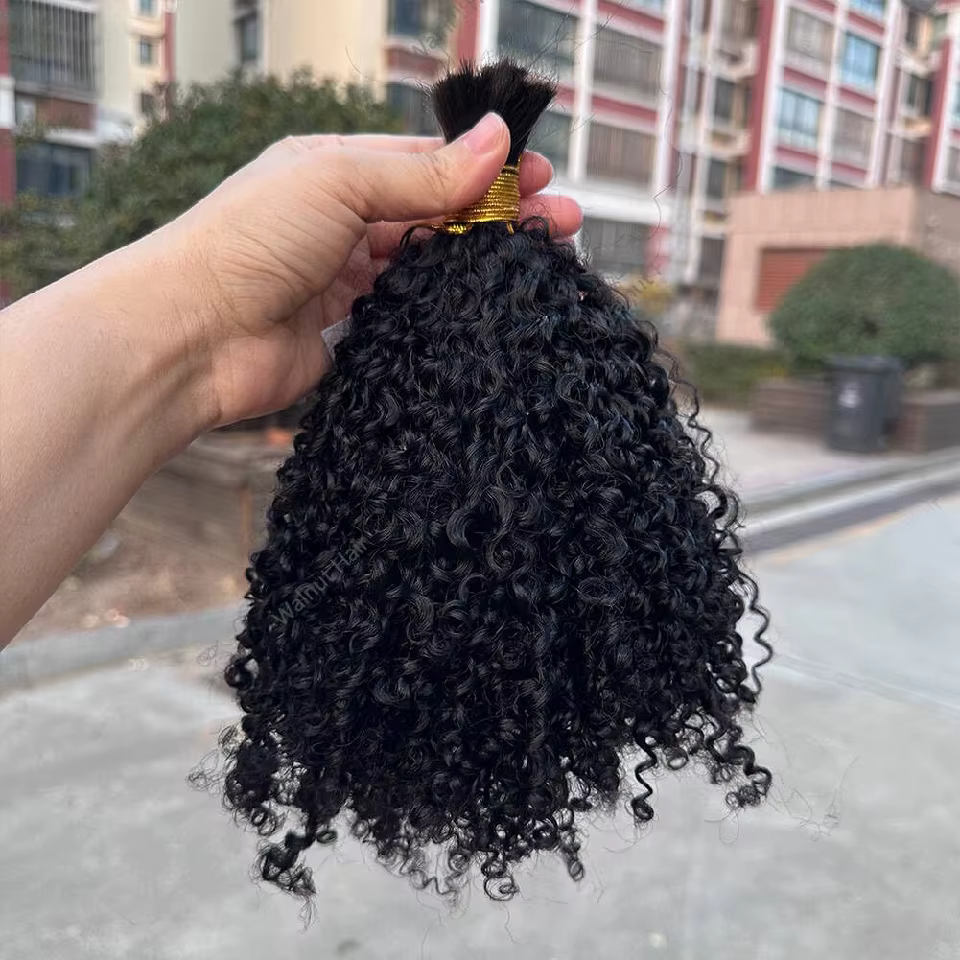 Afro crépus bouclés en vrac Extensions de cheveux humains Double dessiné brésilien vierge tressage