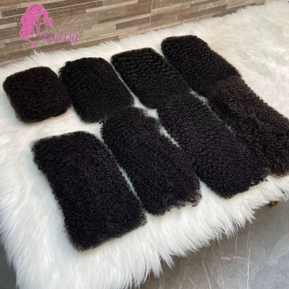 Cheveux brésiliens Afro Kinky Curly Wave 100%