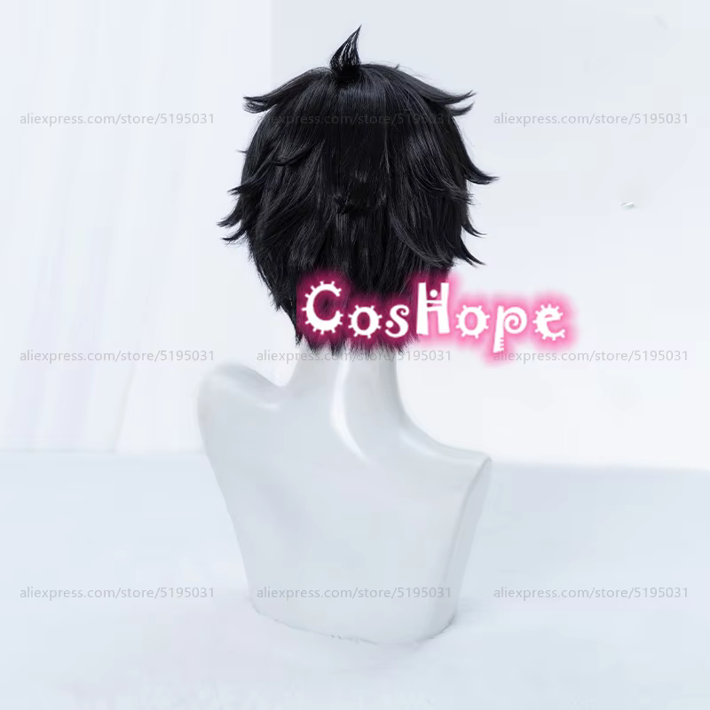 Dan Heng Cosplay perruque 30 cm perruque courte perruque noire Cosplay Anime Cosplay perruques résistant à la chaleur perruques synthétiques