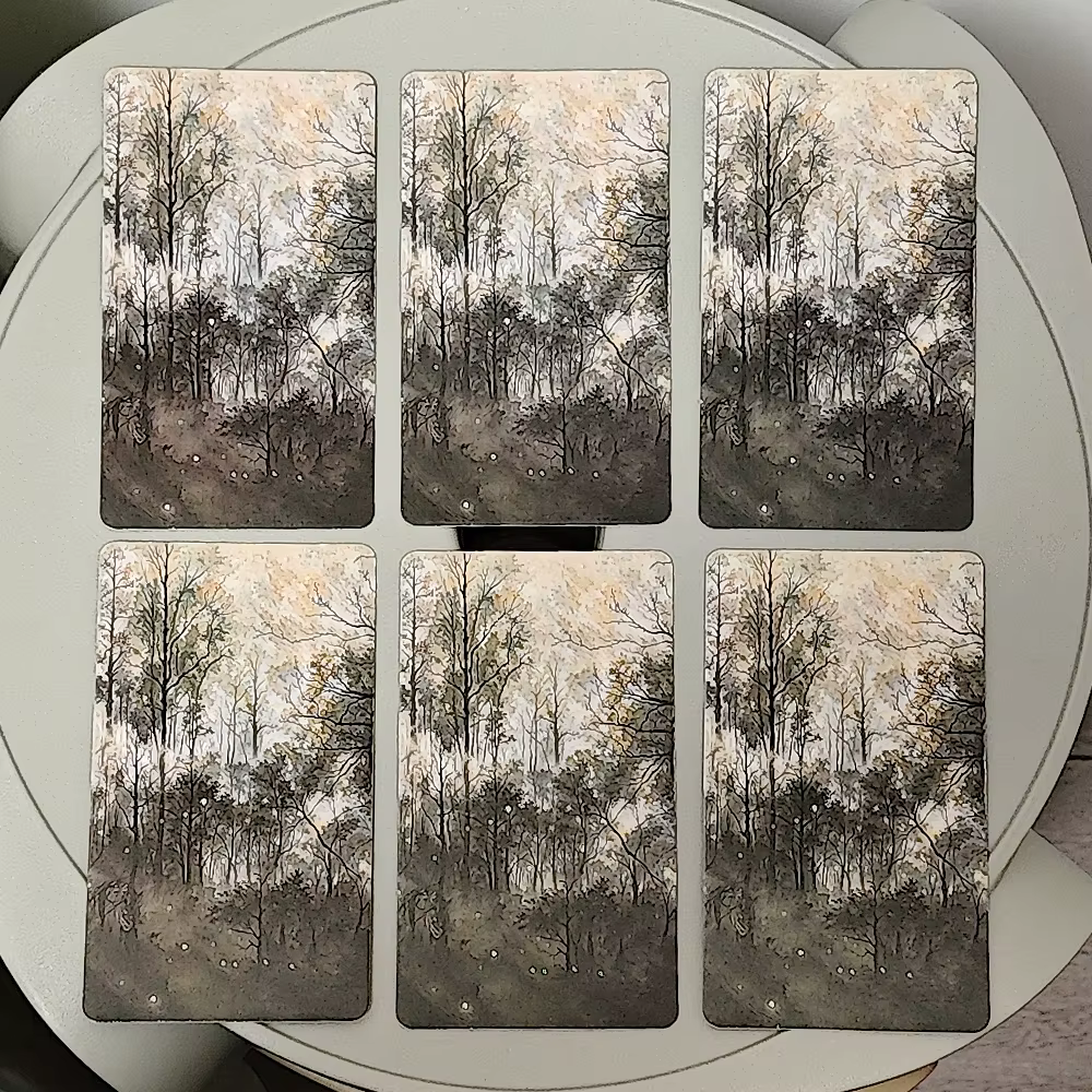 Shadow Fates Tarot Deck 10.3*6cm, 78 pièces cartes sombres raide dans le folklore, le mythe et la sagesse de l'ombre-langue russe