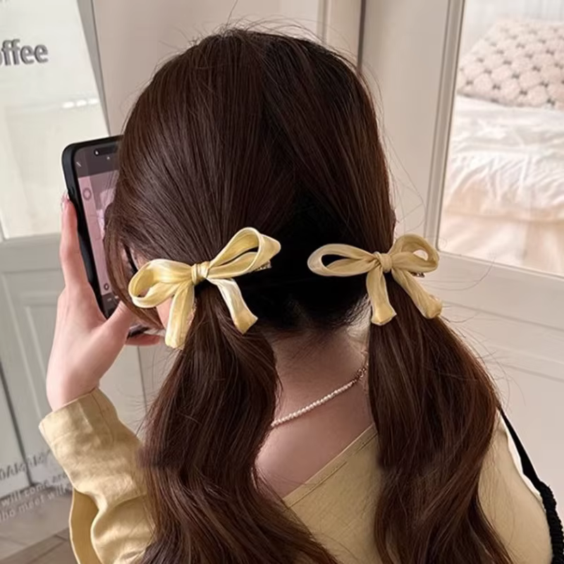 Pinces à cheveux en velours pour femmes