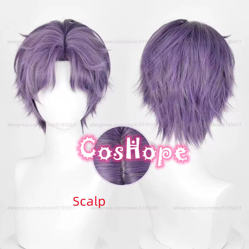 Rafayel Cosplay perruque 30 cm courte violet gris