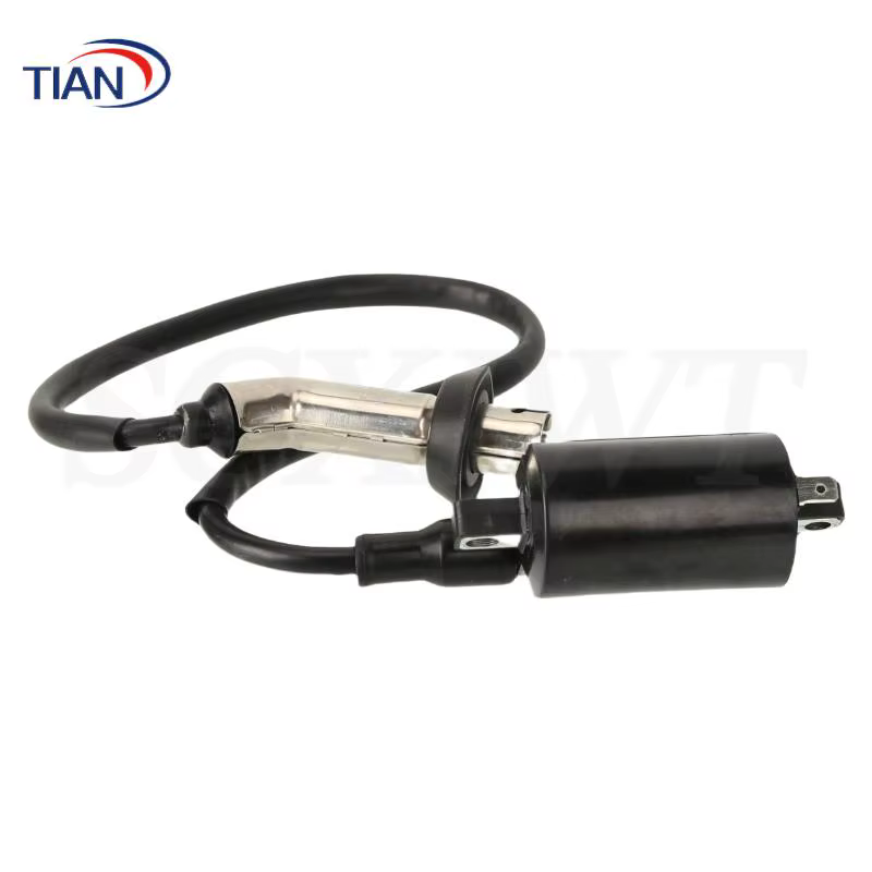 Bobine d'allumage EFI GY6 conçue pour les systèmes à pédale EFI 169cc 170cc, compatible avec les motos Jonway GTX 250 EFI et 200 Tall