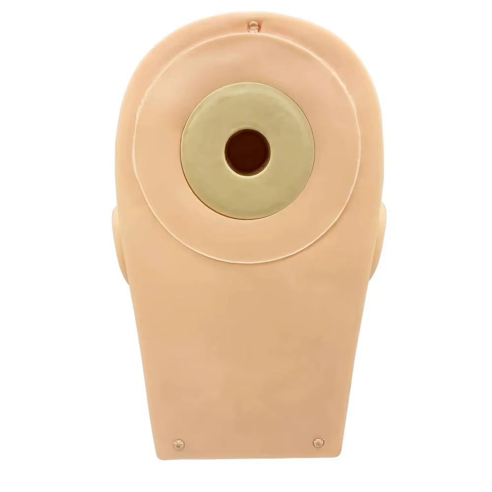 Tête de mannequin pour formation aux extensions de cils et kit de cils
