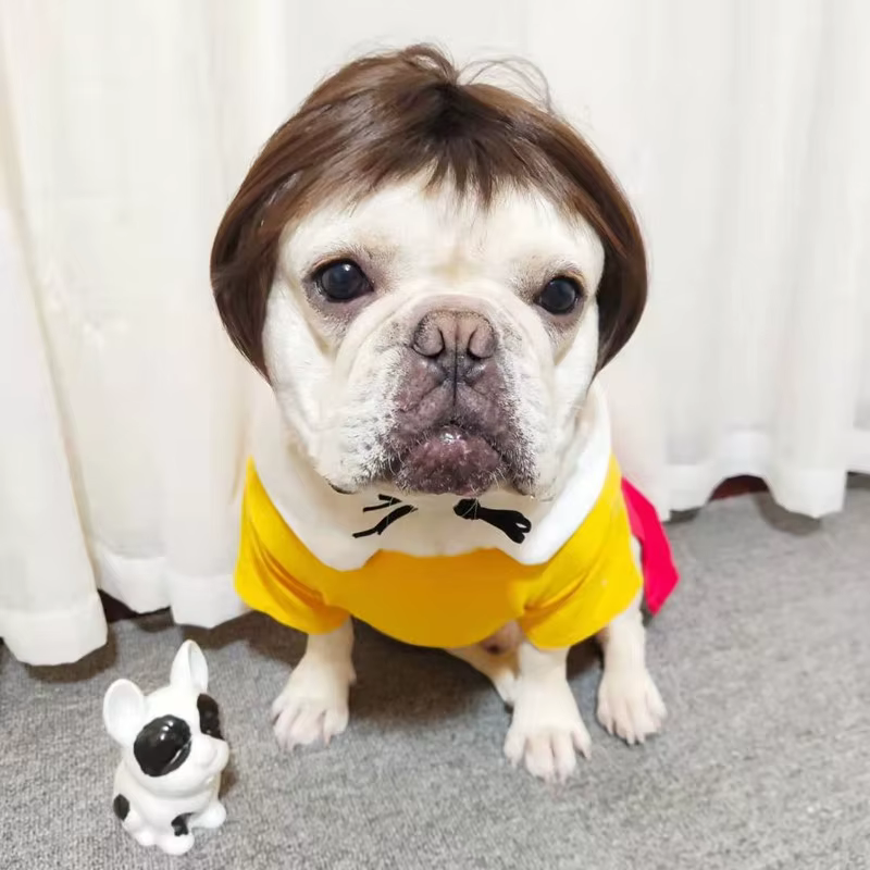 NONOR-Perruques pour animaux de compagnie, accessoires de cosplay, chapeau en élasthanne croisée, olympiques amusants, accessoires de tête pour chiens et chats, fournitures de Noël Halloowen