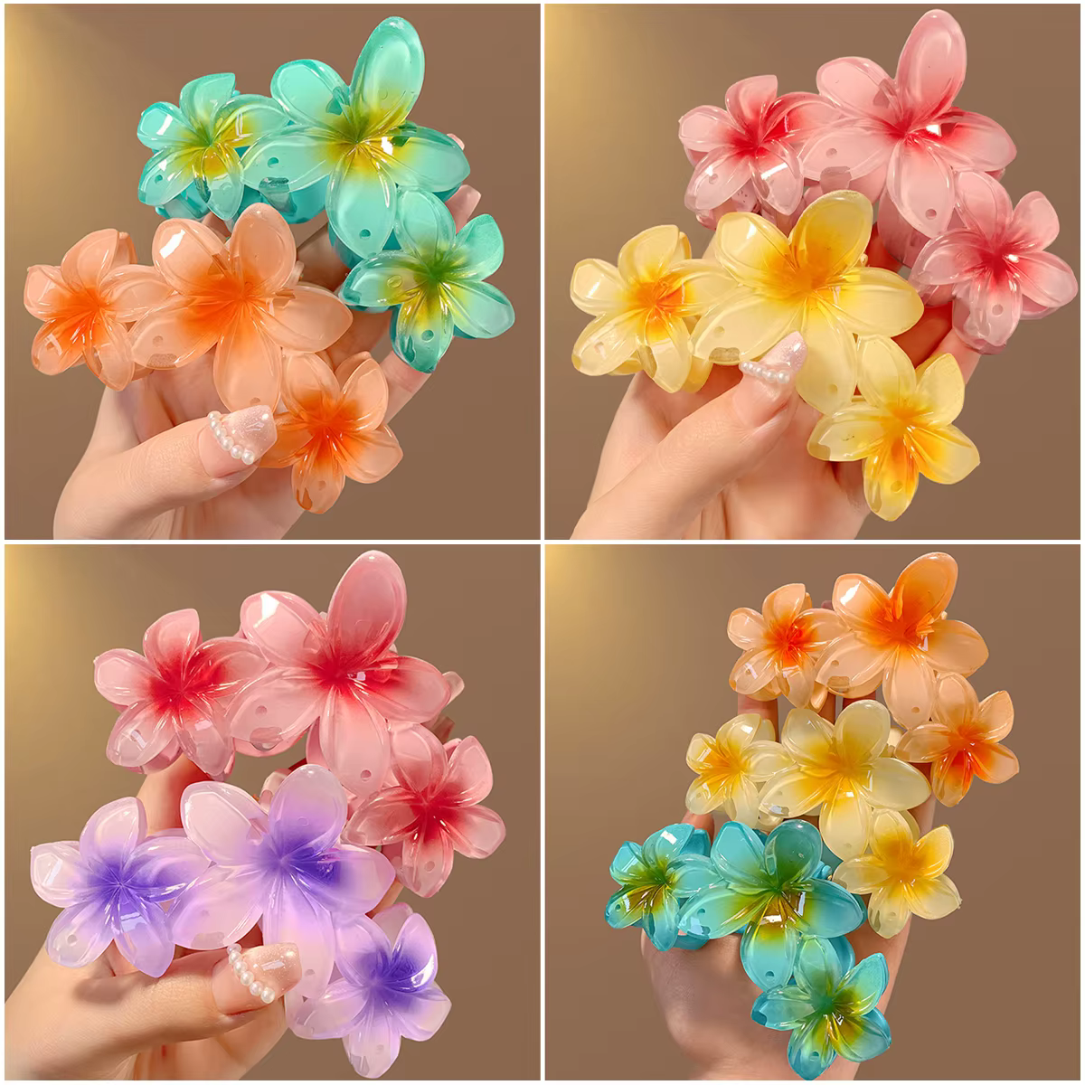 11CM 3 Frangipanier fleur couleur unie dégradé
