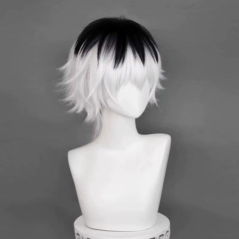 Perruque de Cosplay Anime Sasaki Haise, 30cm, cheveux courts argentés, blancs et noirs pour hommes, perruques synthétiques résistantes à la chaleur pour fête d'halloween