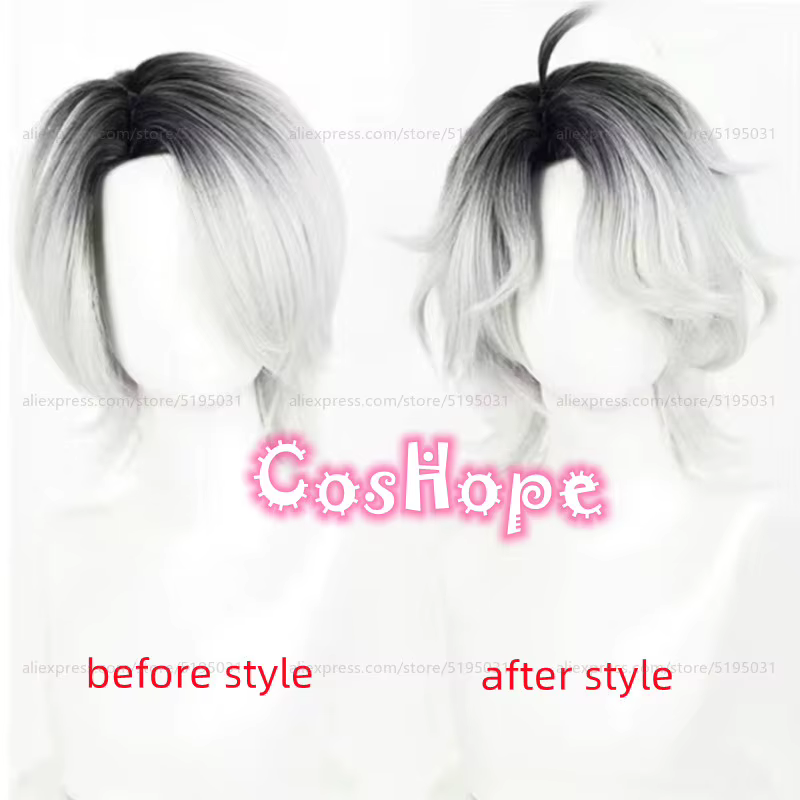 Patient Emil Cosplay perruque 30 cm court noir argent blanc dégradé