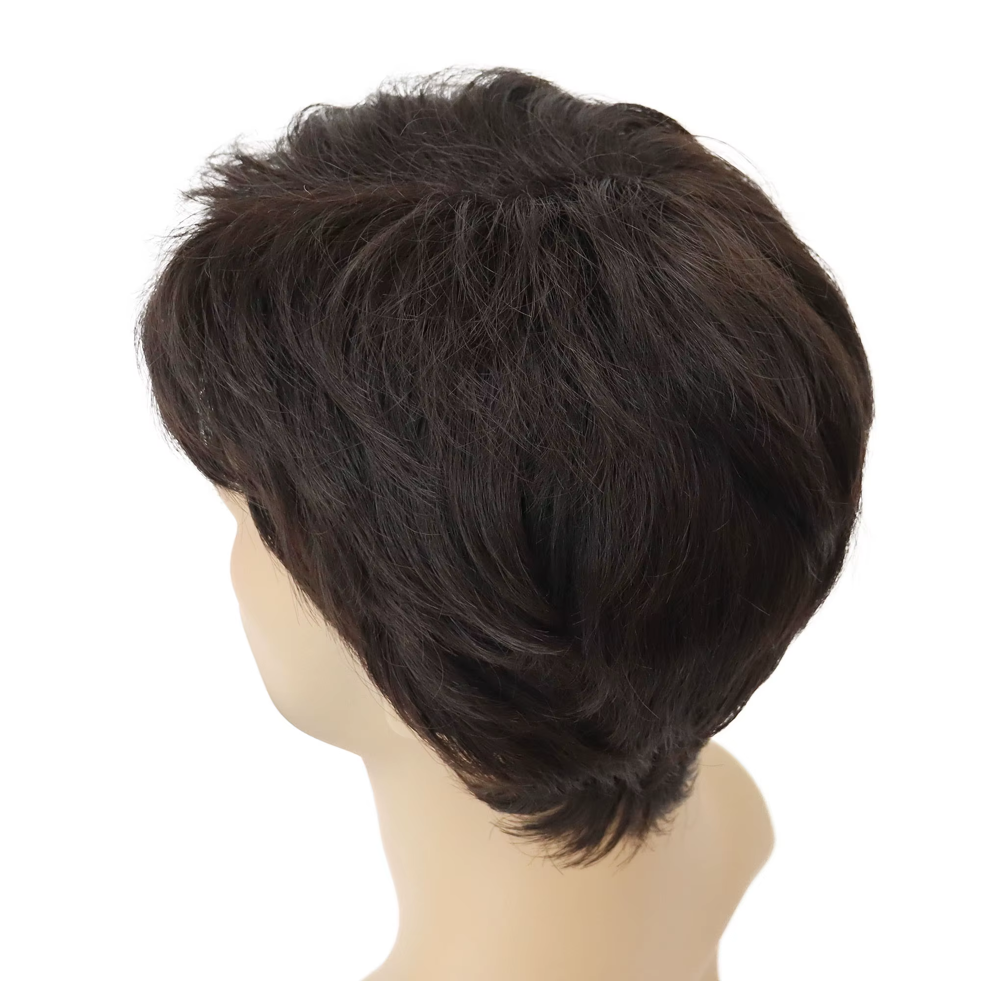 Perruque synthétique pour hommes