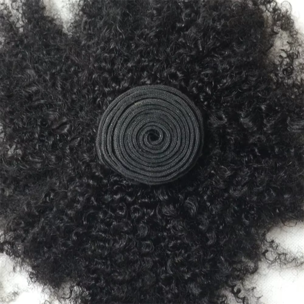 Extensions de cheveux humains brésiliens vierges bouclés afro