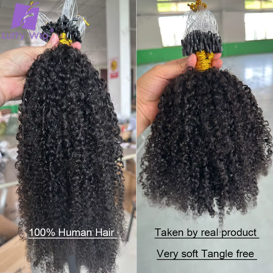 Double proximité Wn Afro Kinky Curly Micro Links Extensions de Cheveux Humains