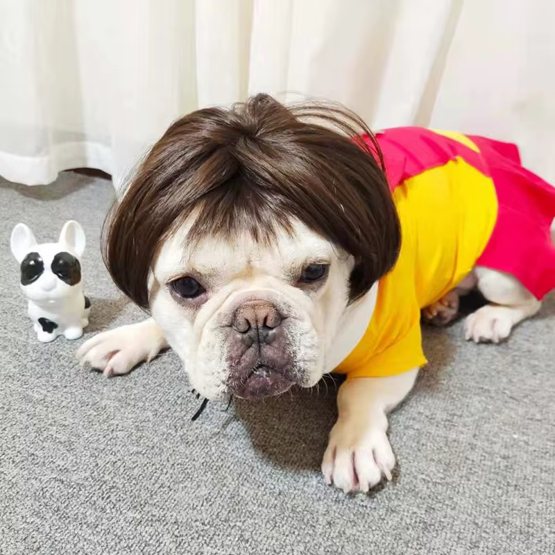 NONOR-Perruques pour animaux de compagnie, accessoires de cosplay, chapeau en élasthanne croisée, olympiques amusants, accessoires de tête pour chiens et chats, fournitures de Noël Halloowen