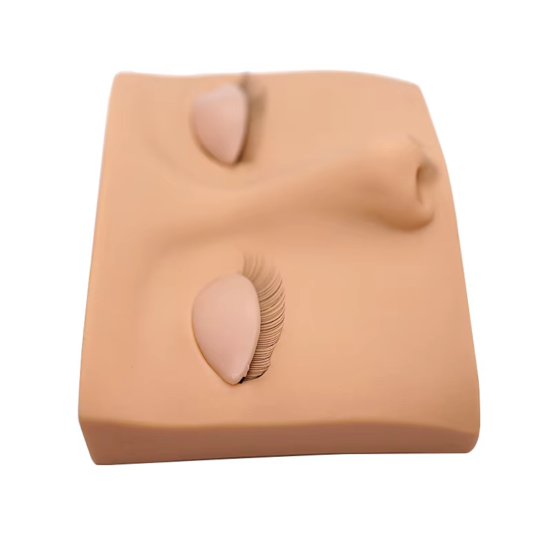 Tête de Mannequin pour Extension de cils