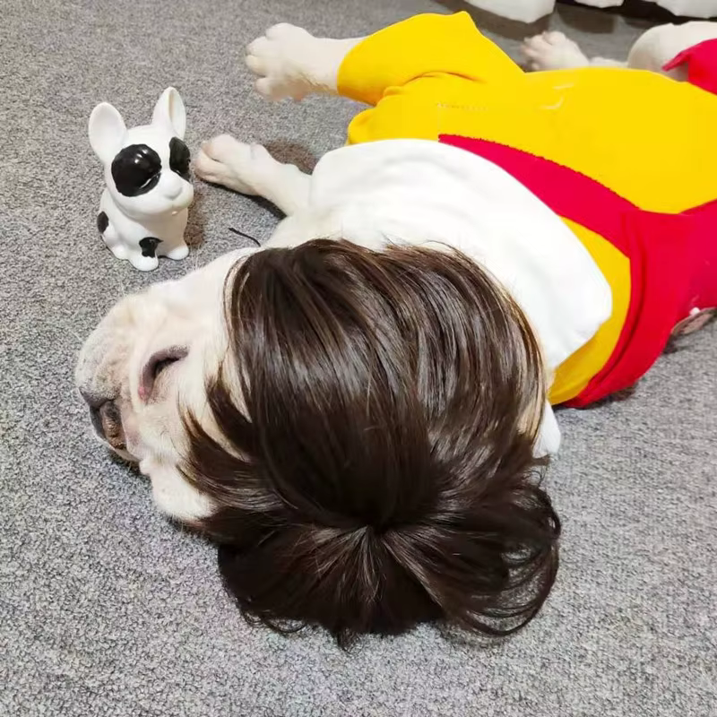 NONOR-Perruques pour animaux de compagnie, accessoires de cosplay, chapeau en élasthanne croisée, olympiques amusants, accessoires de tête pour chiens et chats, fournitures de Noël Halloowen