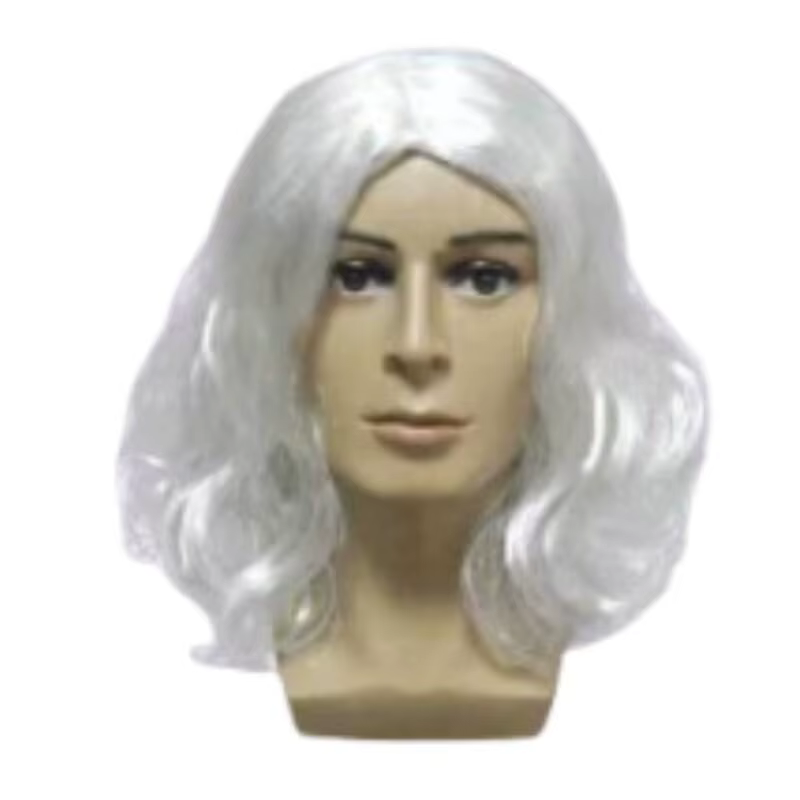 Perruque et accessoires de barbe de Cosplay du père noël