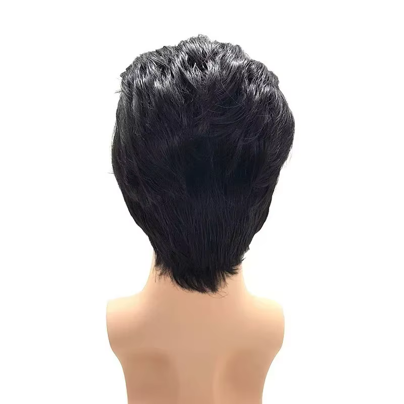 Perruque de cosplay Elvis Presley pour homme - Cheveux synthétiques résistants à la chaleur