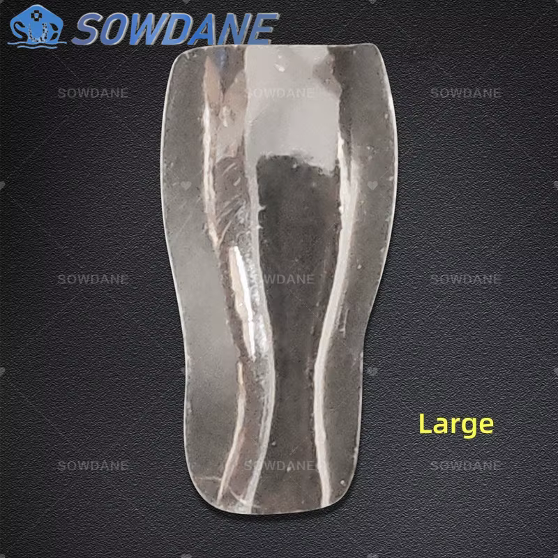 Bandes Matrices Dentaires Supérieures, Bande Matrice en Polyester, Nministériels d Transparent, Système Matrice Profilée Sectionnelle