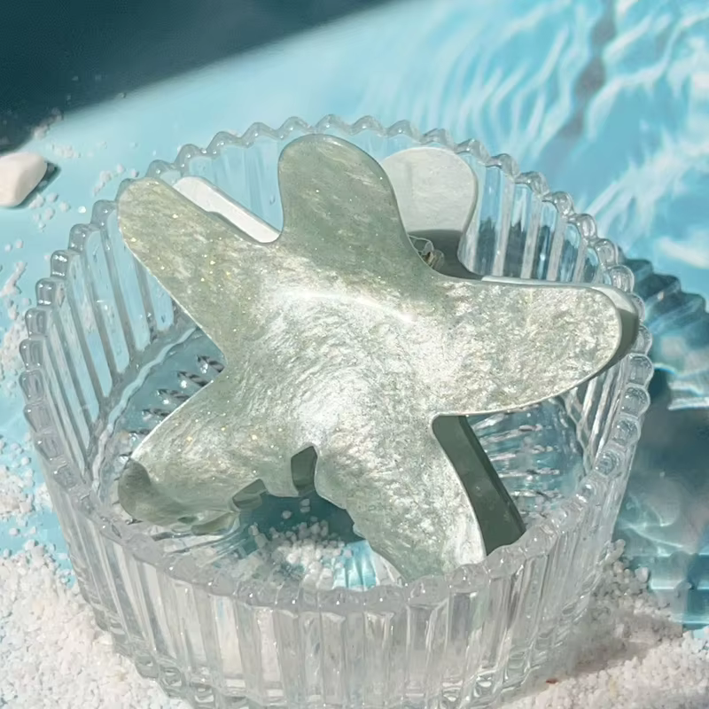 Pinces à cheveux étoile de mer été pince