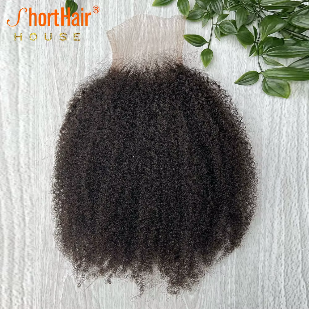 Afro crépus bouclés cheveux humains brésilien 4x4 5x5 HD dentelle fermeture