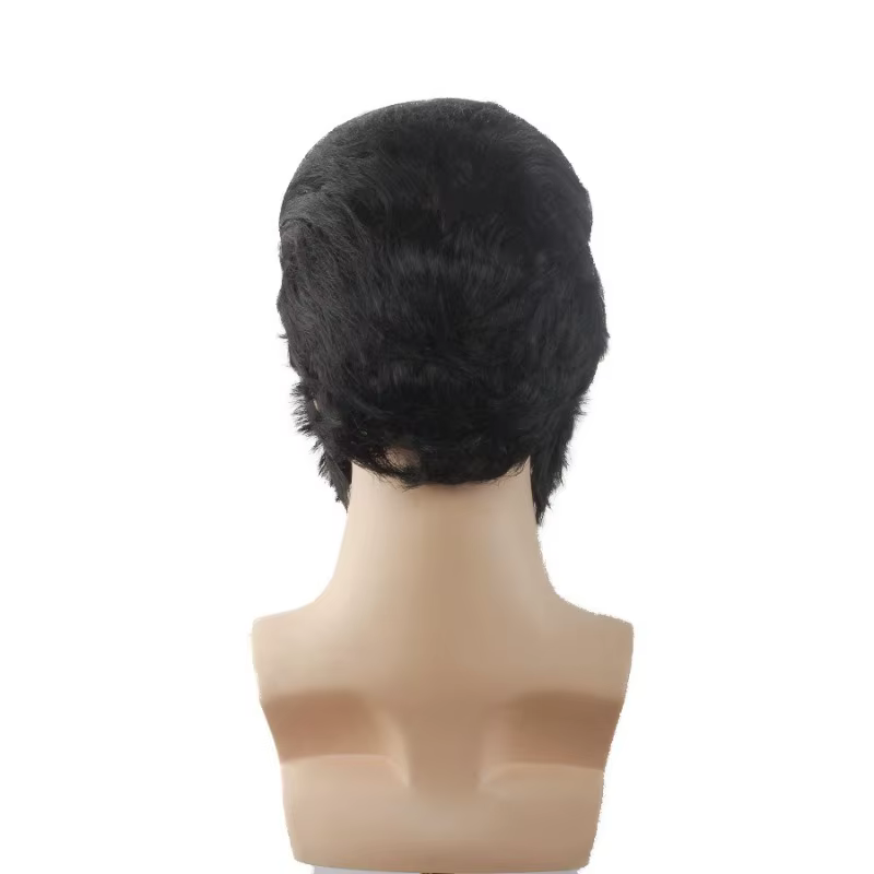 Rock and Roll Elvis Presley Cosplay perruque usage quotidien fibres fondues mascarade fête scène Performance noir cheveux courts