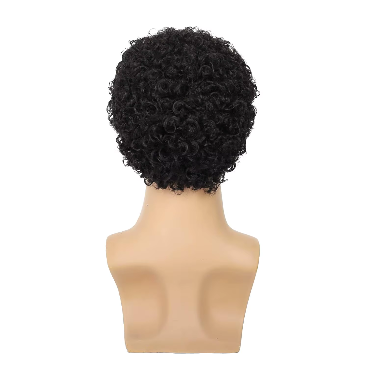 Tereshar synthétique hommes bouclés Afro perruques courte perruque bouclée pour homme gars Rocker