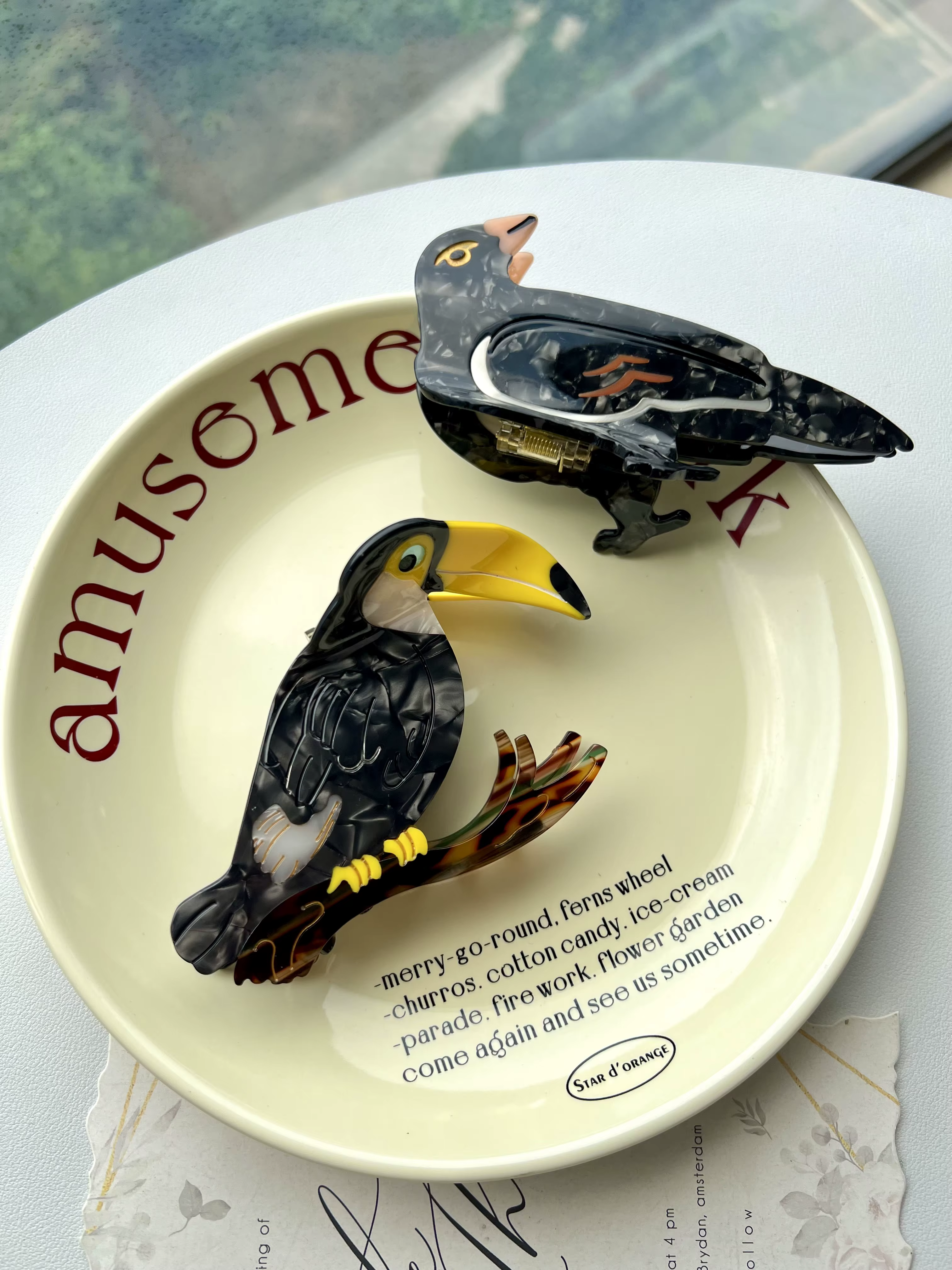Pinces à cheveux à griffes d'oiseau. Style familial d'été unique et décontracté. Acétate