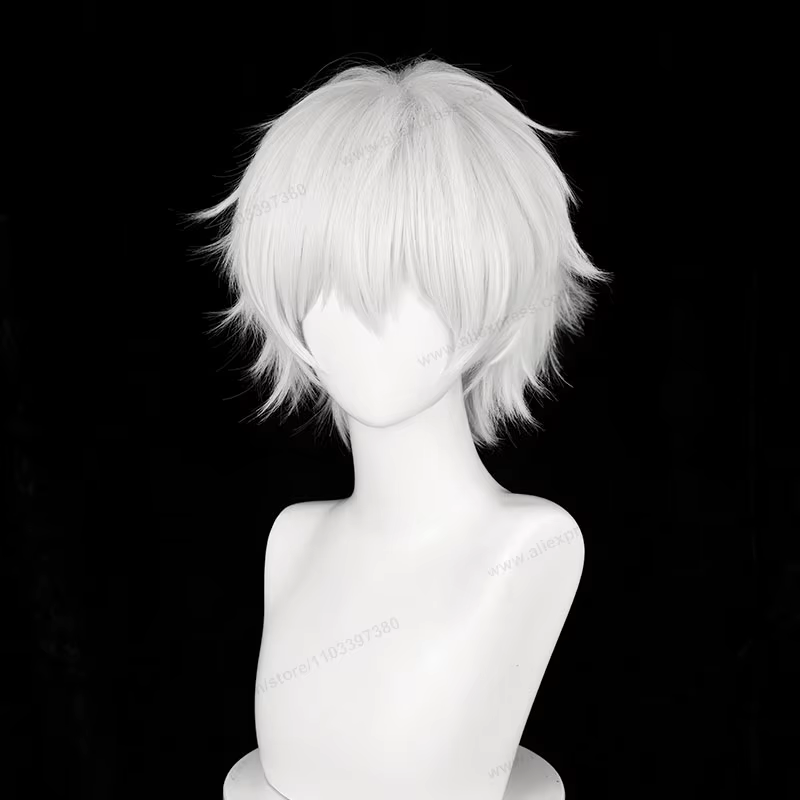 Kaneki Ken Cosplay perruque 30 cm court argent blanc homme cheveux Anime résistant à la chaleur perruques synthétiques