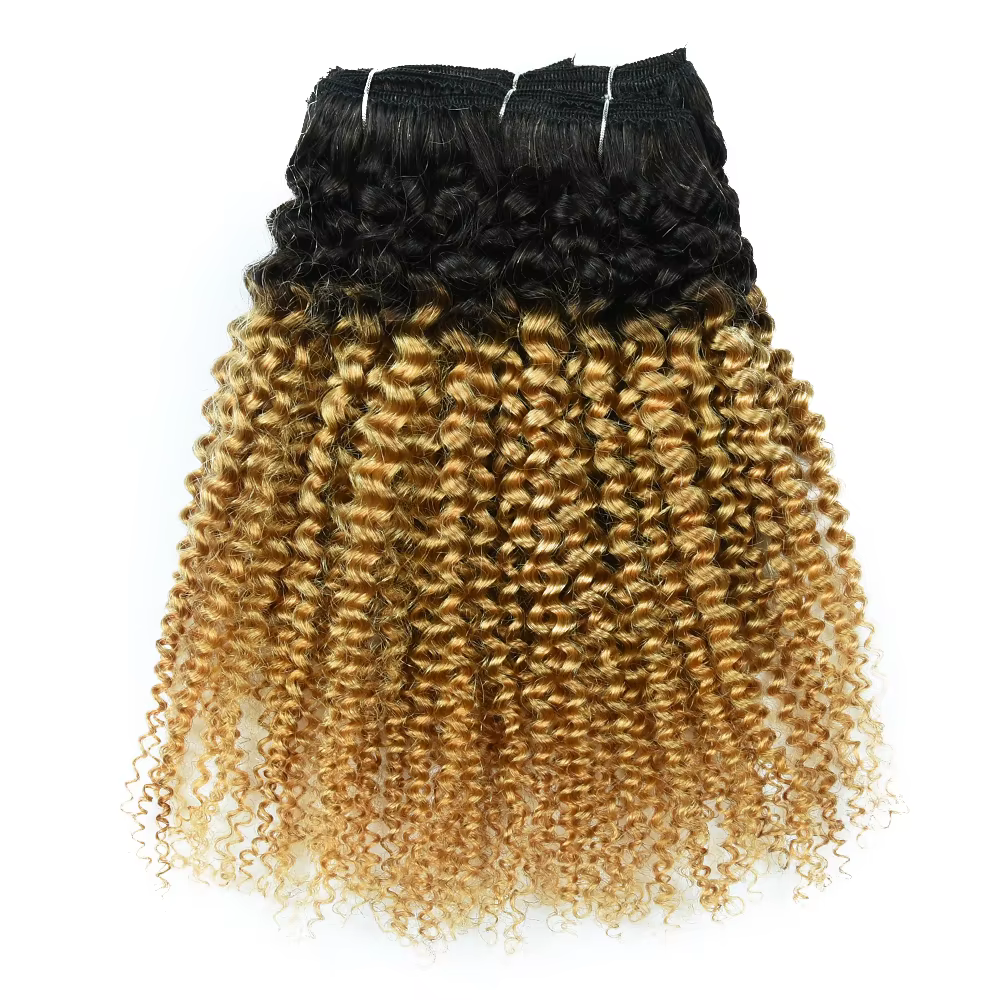 T1B 27-Extension de Cheveux Humains Crépus Afro